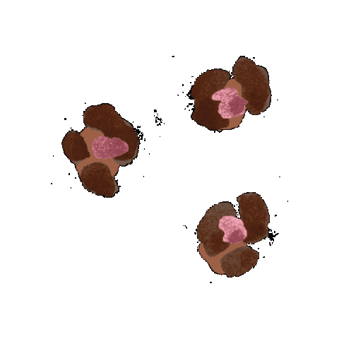 Van den Broek Sticker