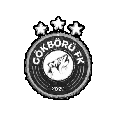 Gökbörü Fk Sticker