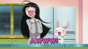 Anime gif. In a kitchen, a girl with long black hair and a white rabbit with a flower on its head rock back and forth excitedly. Text, "Awww!"