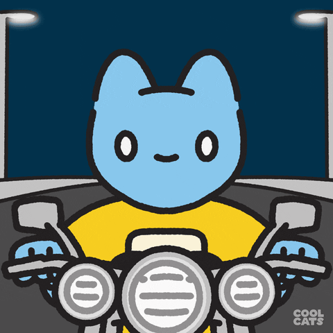 Blue Cat Bike GIF by Cool Cats