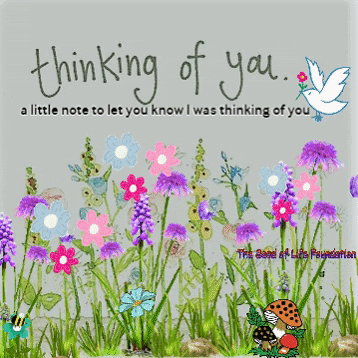 Give Thinking Of You GIF by The Seed of Lyfe Foundation - Find & Share on GIPHY