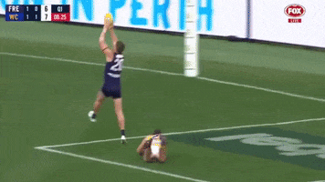 Fremantle Dockers Derby GIF