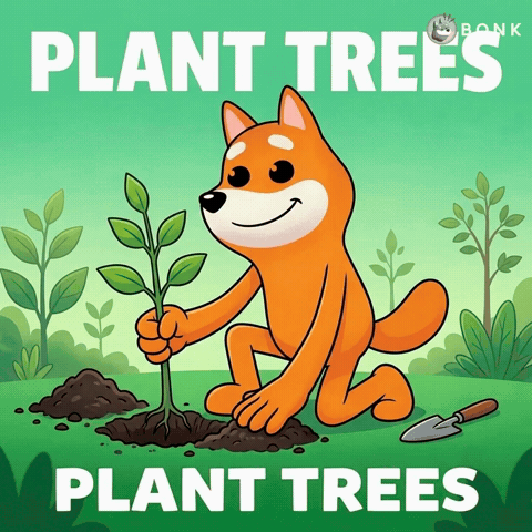 Nurturing Plant Growth GIF by BONK