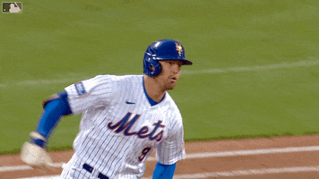 Celebrate Major League Baseball GIF by New York Mets
