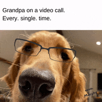 Old Man Puppy GIF by Berk's Beans Coffee