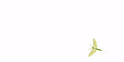 amandacolemanjewellery GIF