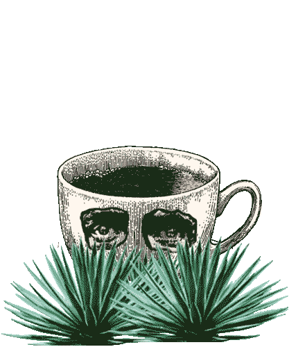 Dano's Dangerous Tequila Sticker