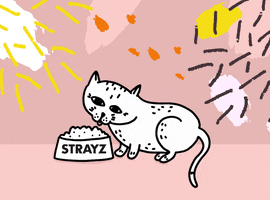 Cat Food GIF by STRAYZ