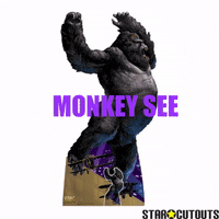 Monkey-say GIFs - Get the best GIF on GIPHY