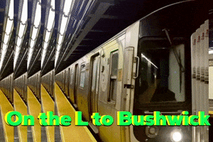 New York City Nyc GIF by This Bushwick Life