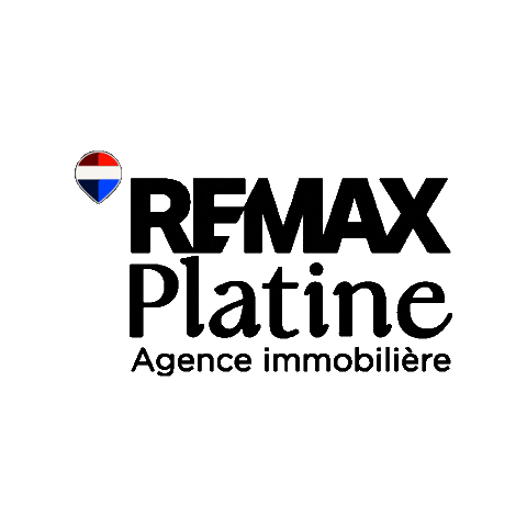 Sticker by REMAX Platine