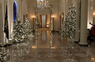 White House Christmas GIF by GIPHY News
