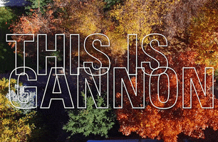 This Is Fall GIF by Gannon University