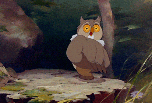 creepy owl gif