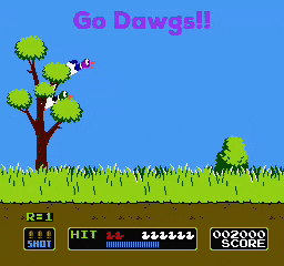 Go Dawgs GIF by Moody NW Real Estate