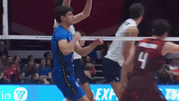 Volleyball Vnl GIF