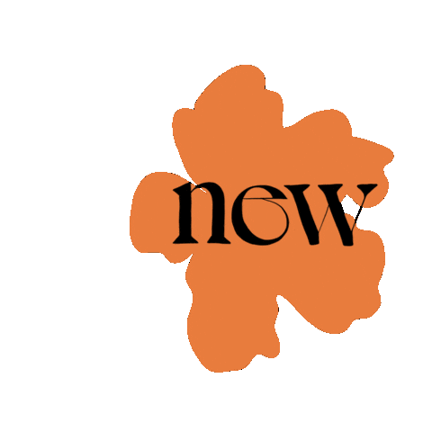 Orange Flower Sticker by AMOODE