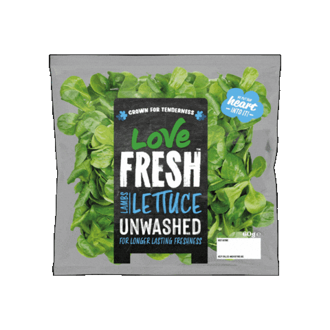Salad Lettuce Sticker by G's Fresh