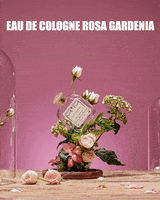 Rose Cologne GIF by santamarianovella1221