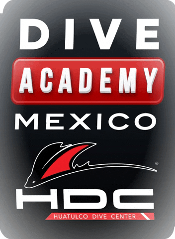 HuatulcoDiveCenter GIF