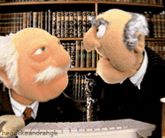 the muppets television GIF by Head Like an Orange