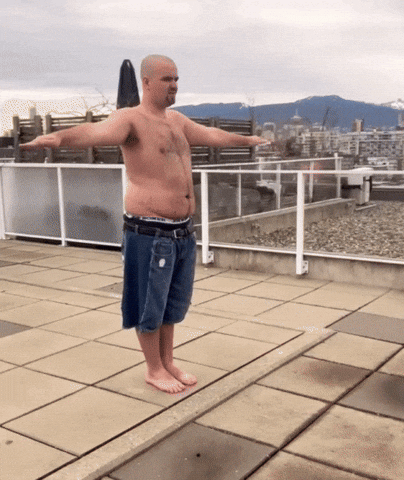 Aldo T Pose GIF by aldo2swag