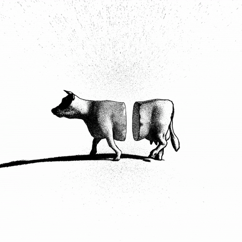 Loop Cow GIF by Nikolar
