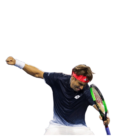 ATF Academia Tenis Ferrer Sticker
