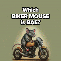 Which Biker Mouse Is Bae?