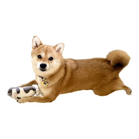 Shiba Sticker by TwinOaksCapital