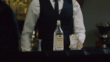 Seagram's Gin GIF