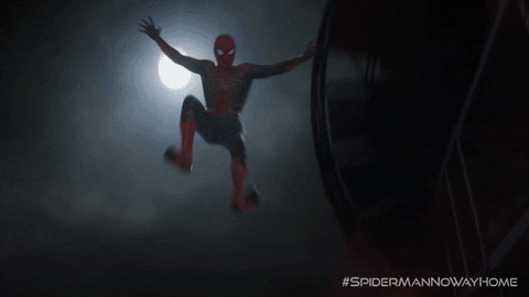 Tom Holland Land GIF by Spider-Man