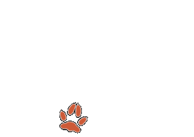 Foxes Sticker