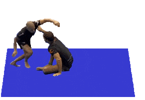 Judo Jiujitsu Sticker by Virtue BJJ