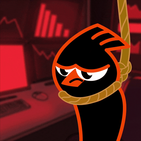 Birdeye GIF