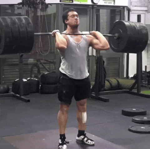 GIF by Federació Catalana Halterofilia