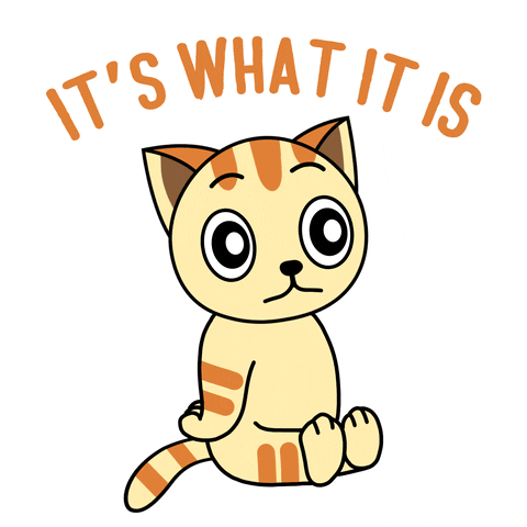 Think It Is What It Is GIF by GoodMorningCat