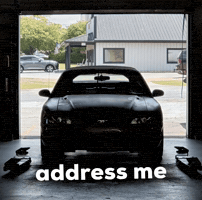 Address Me GIF