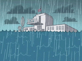 flood raining GIF