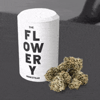 Weed GIF by The Flowery