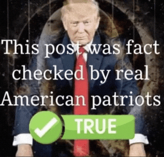 Fact Check Trump GIF by Feluko - Find & Share on GIPHY