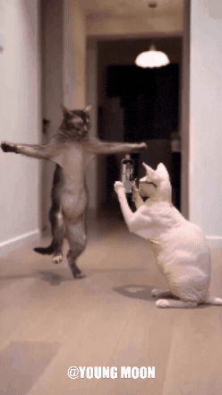 Hip Hop Dancing GIF