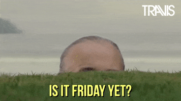 Celebrity gif. Fran Healy from the band Travis peeks over a wall of grass. Text, “Is it Friday yet?”