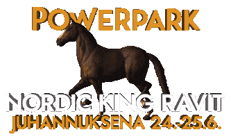PowerPark Sticker