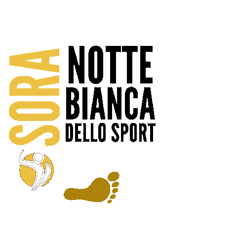 Sport Sora Sticker by Champion Training Sanda Martial Art