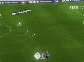 Atletico Mineiro Brazil GIF