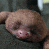 100.gif?cid=20e14a2ah0q3ldftbzrvvd868r5jfraem2njs0zkxz71q2jo&rid=100.gif&ct=g