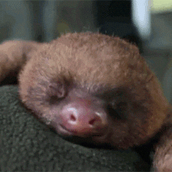 Good Night GIF - Find &amp; Share on GIPHY