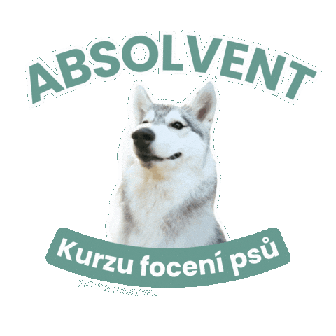 Student Photoshoot Sticker by mrackova.foto