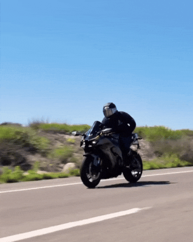 Interspacemonkey GIF
